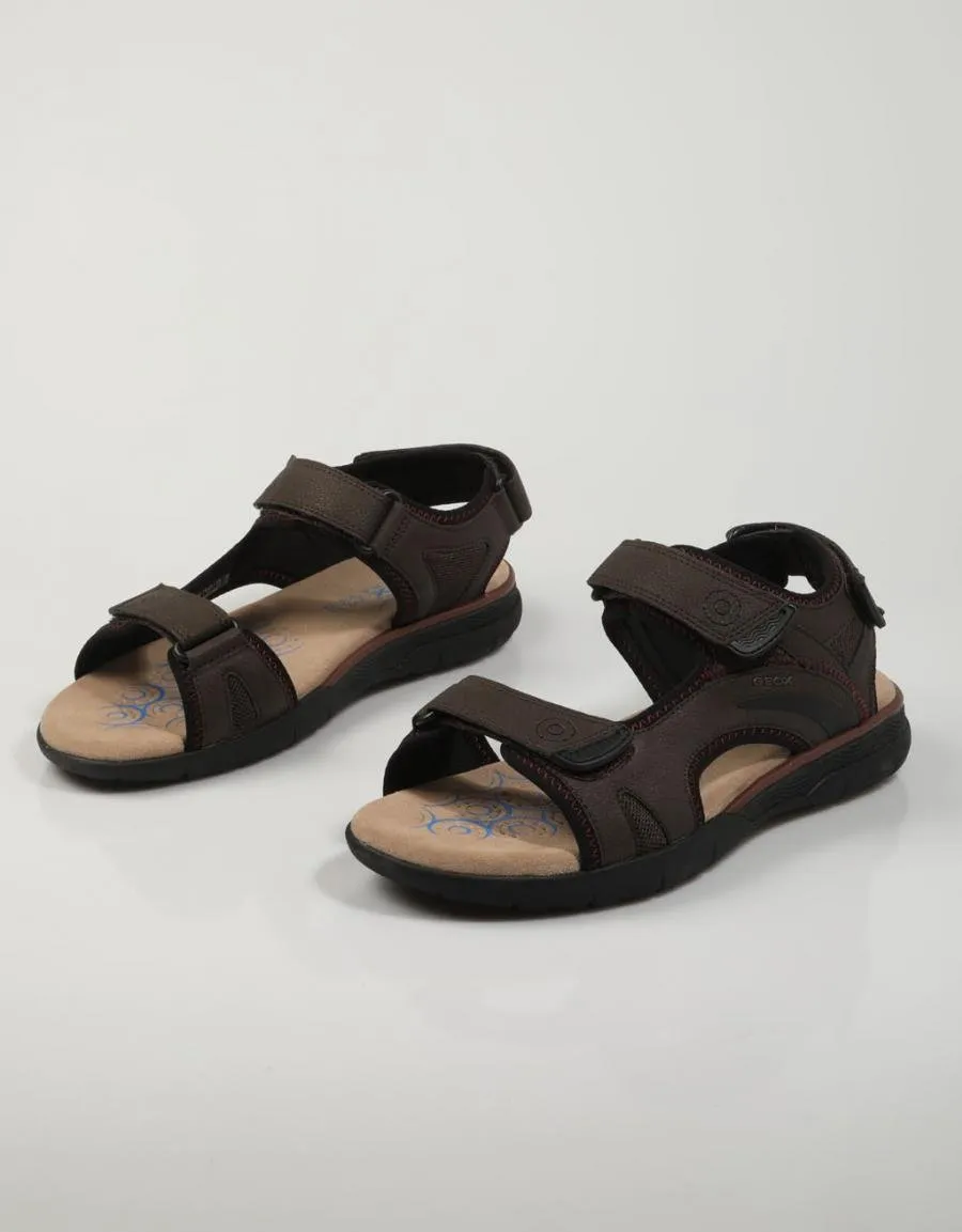  sandalias GEOX U25ela en Castanho 79545