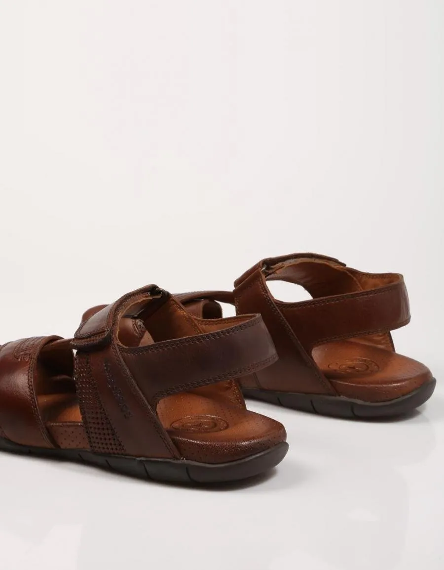  sandals KANGAROOS 6505 en Tan 72287